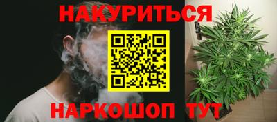 крисы Дубна