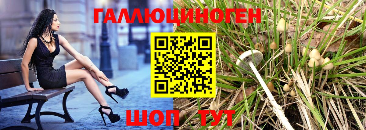цены   Галлюциногенные грибы GOLDEN TEACHER  Вход с VPN  Зерноград 