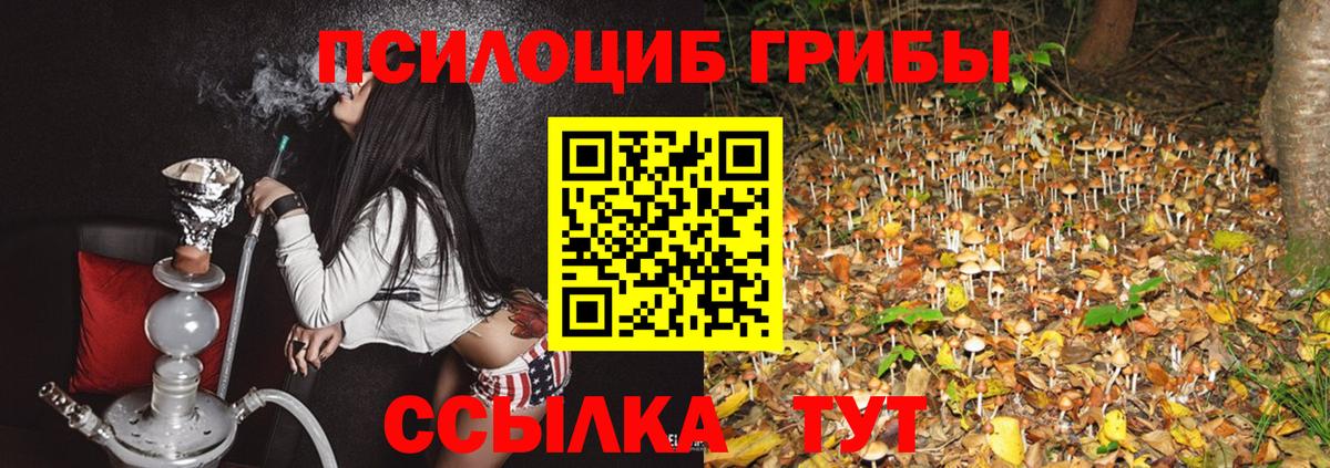 Псилоцибиновые грибы ЛСД Зерноград