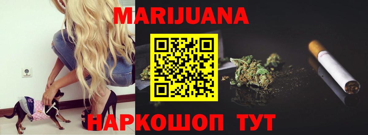 Канабис сатива Зерноград